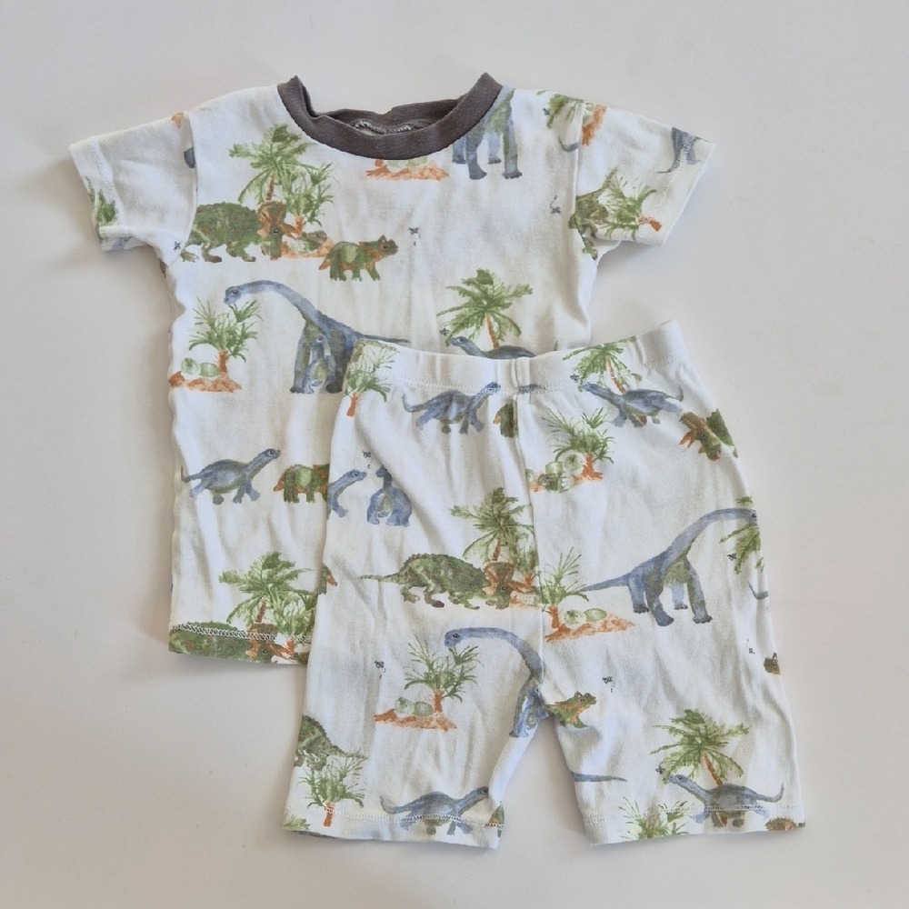 Burt's Bees Baby Gray Outfit